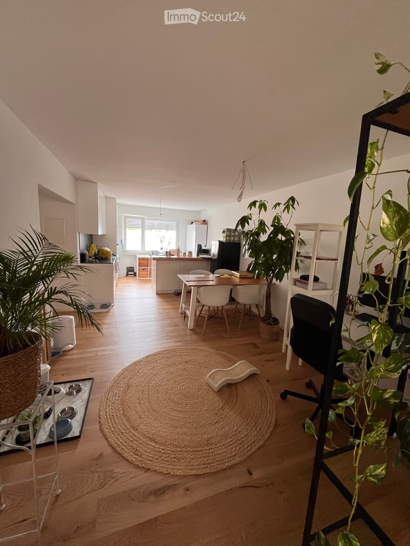 Appartement 2.5 pièces à louer (1)