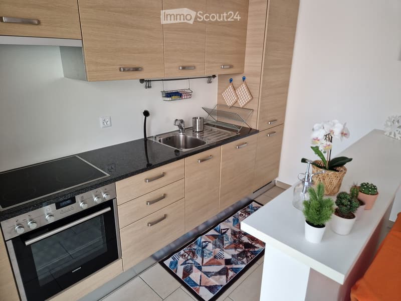 Miete für kurze Zeiträume 2.5 Zimmer in Lugano (4)