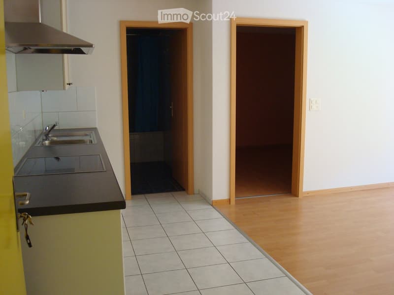 2 Stanze Appartamento (4)