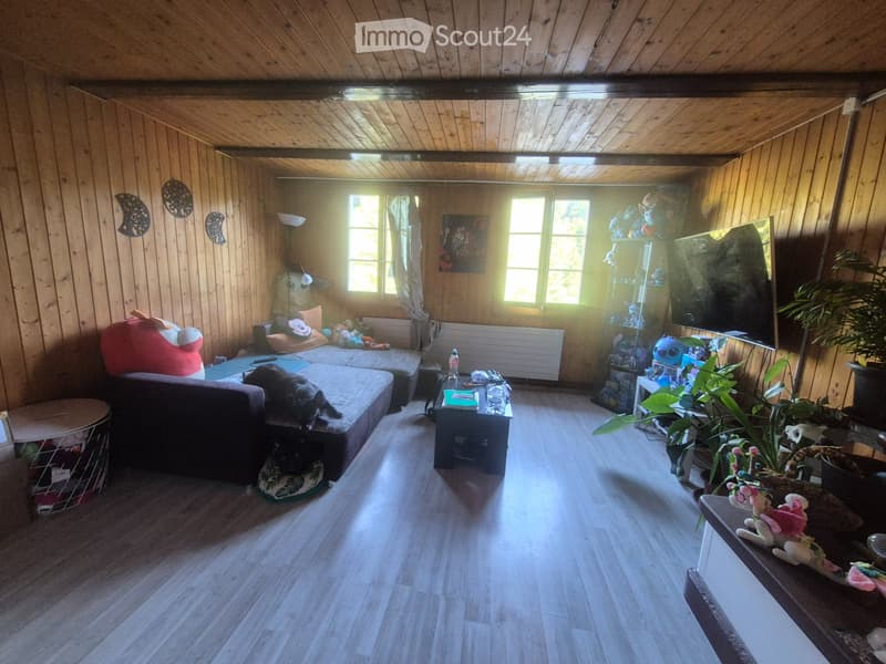 Cercasi inquilino per appartamento in vecchia casa colonica (4)