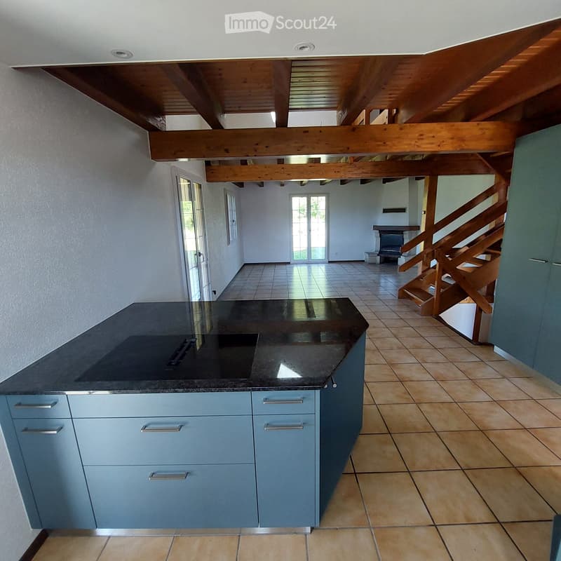 Casa unifamiliare di 5½ locali in una posizione tranquilla e familiare a Vesin (2)