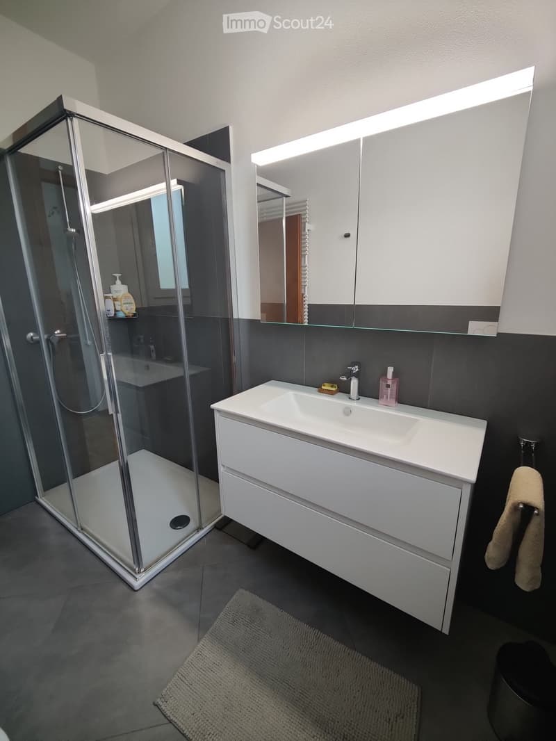 3.5 room apartment in Davesco, semi-detached house (2)