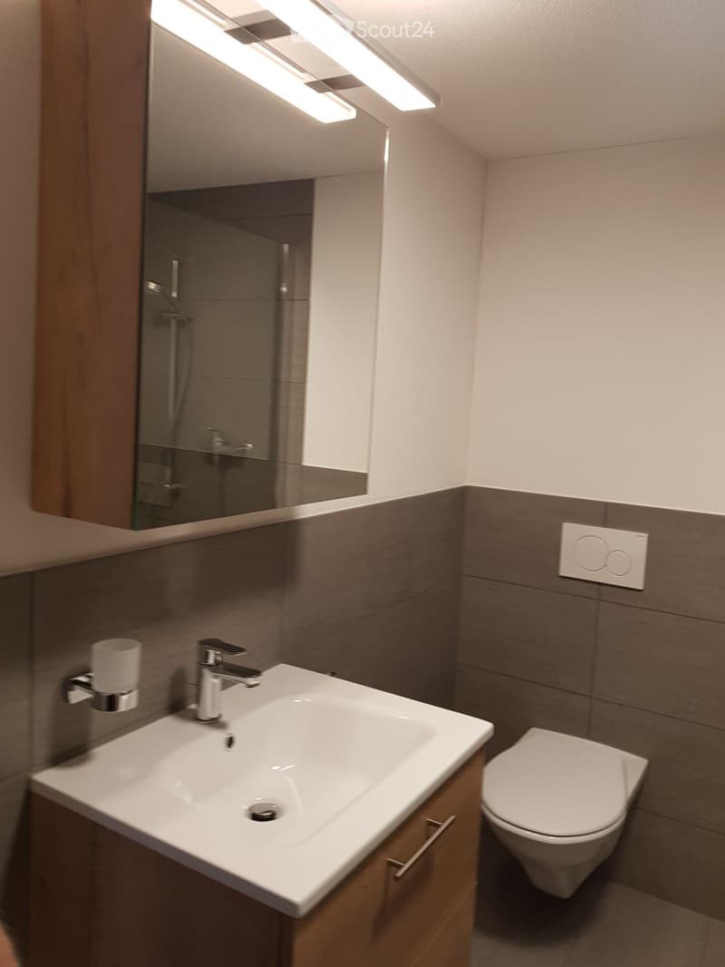 3.5 room apartment (3)