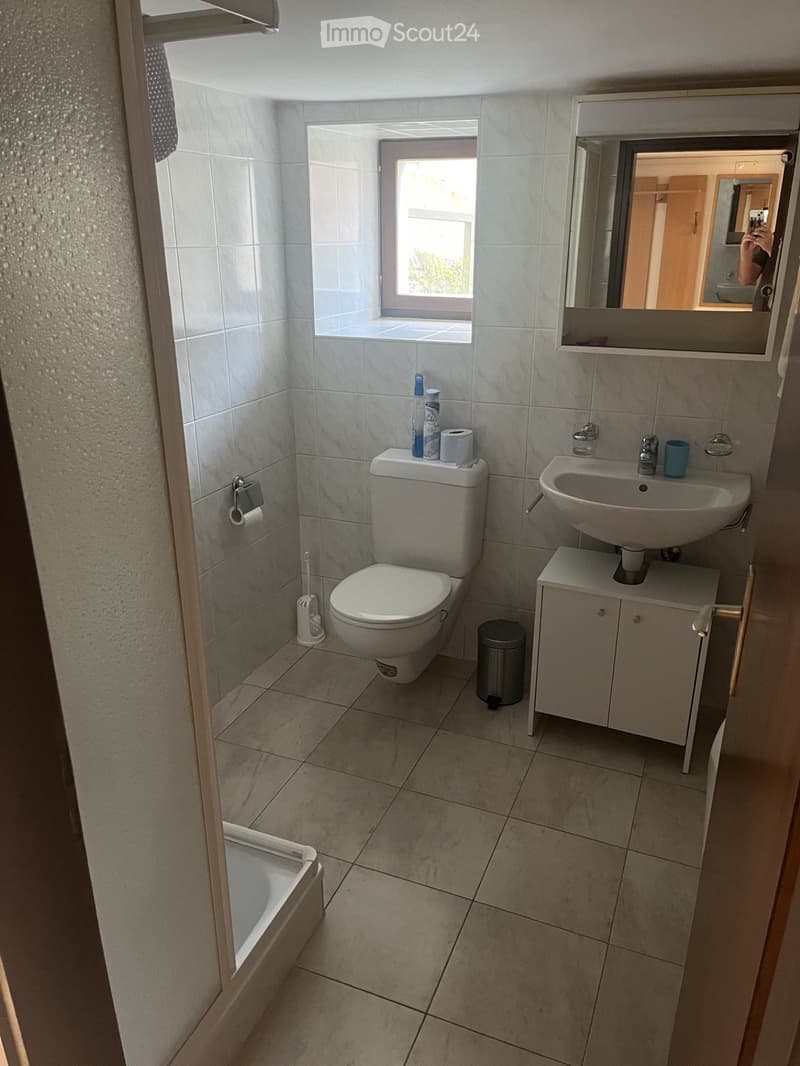 Location Appartement à Dalpe 2 pièces (4)