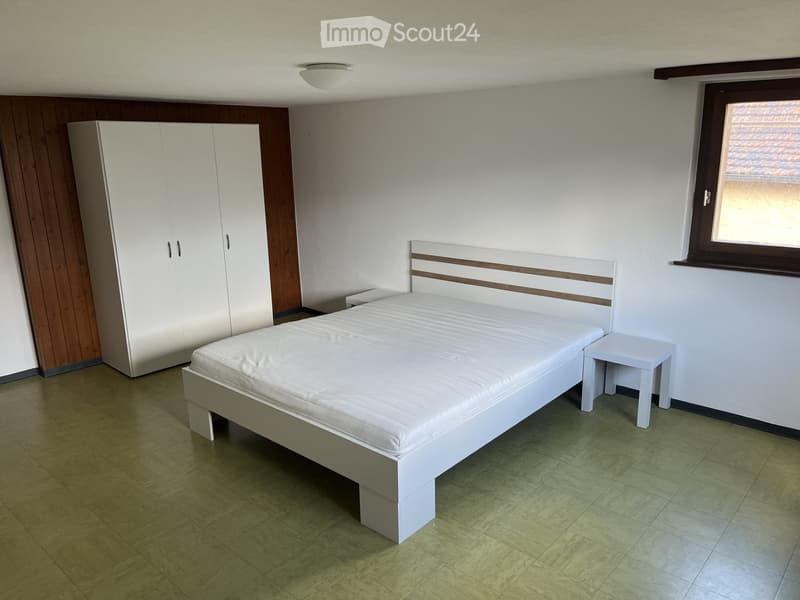 Location Appartement à Dalpe 2 pièces (2)