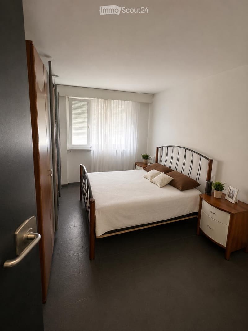 2 Bedroom Apartment (3)