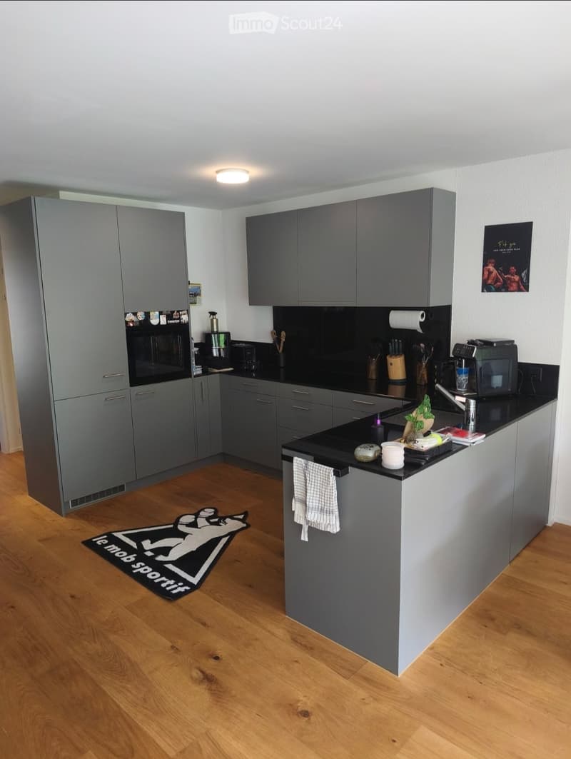 Locataire recherché pour appartement moderne au Hallwilersee (1)