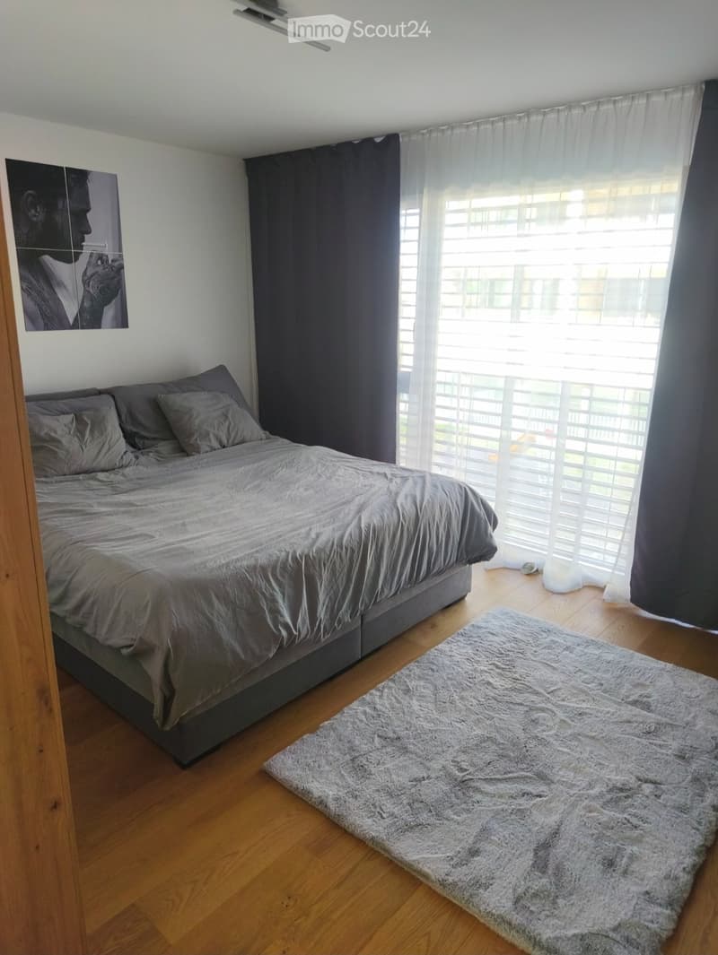 Locataire recherché pour appartement moderne au Hallwilersee (3)