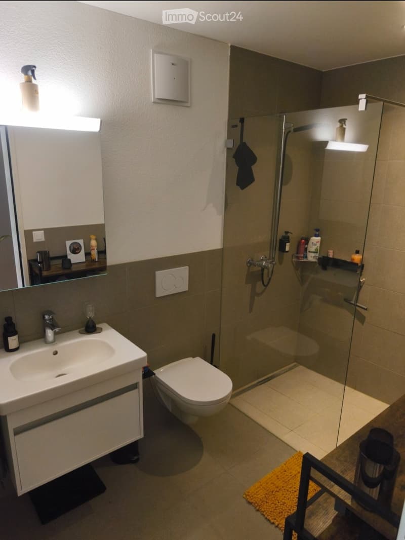 Locataire recherché pour appartement moderne au Hallwilersee (4)