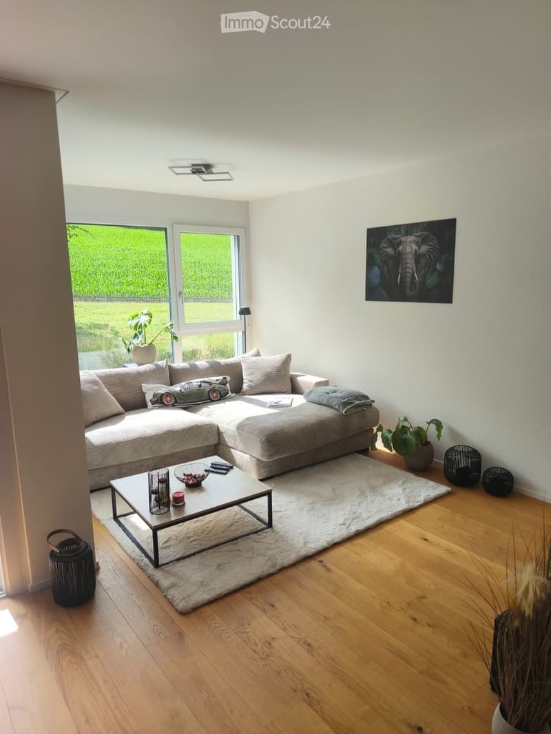 Locataire recherché pour appartement moderne au Hallwilersee (5)
