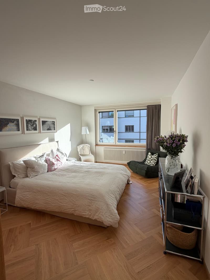 Beautiful Flat in Zurich Wiedikon (1)