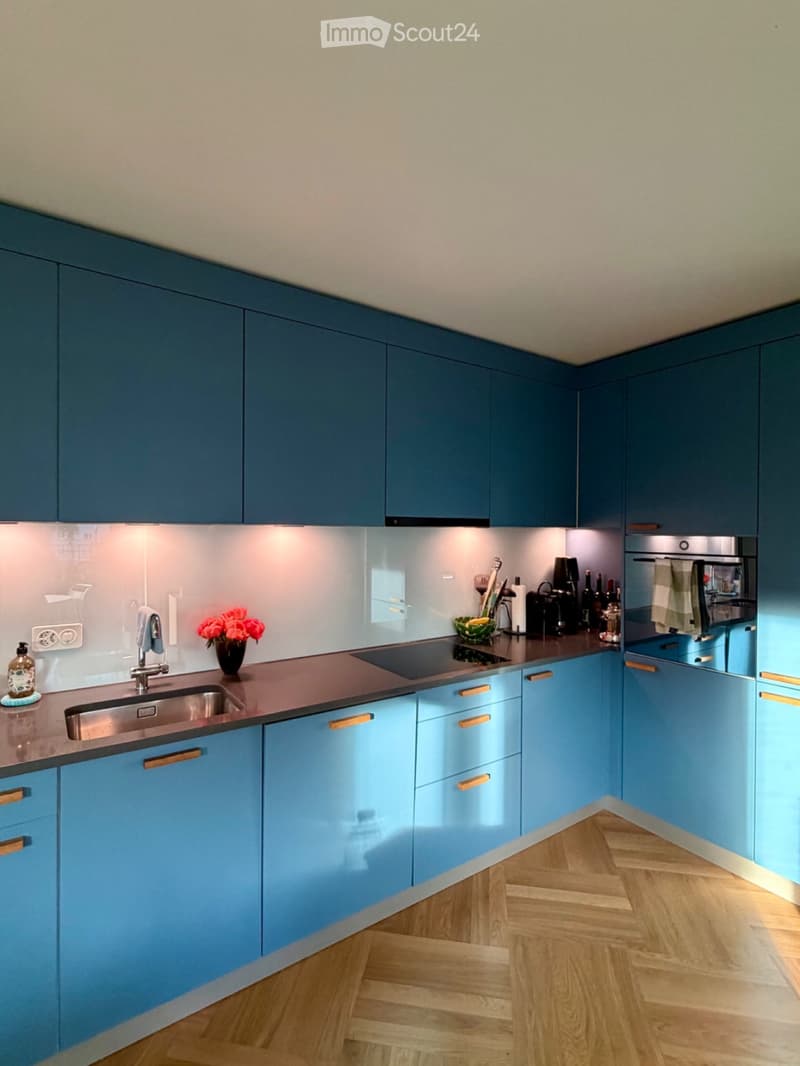 Beautiful Flat in Zurich Wiedikon (5)