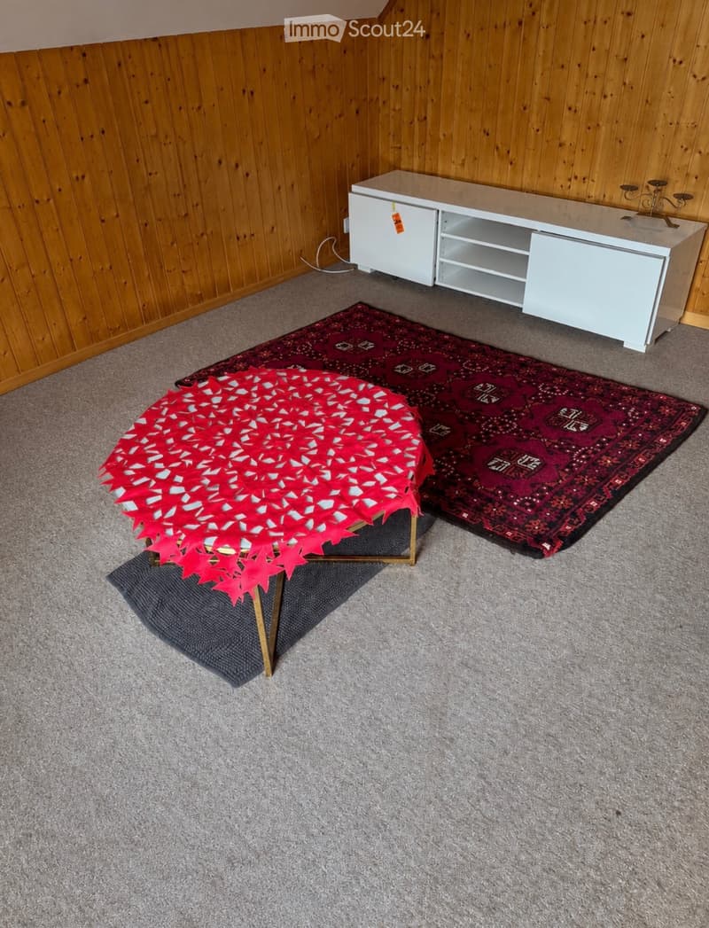 Appartamento 3 camere (3)