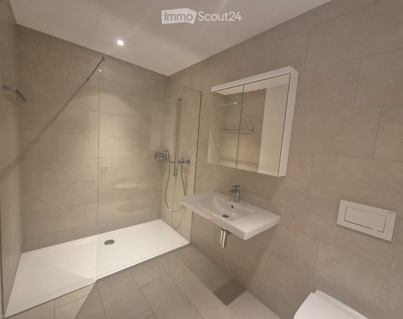 Appartement spacieux de 4,5 pièces à Mythenhof, canton de Schwyz (4)