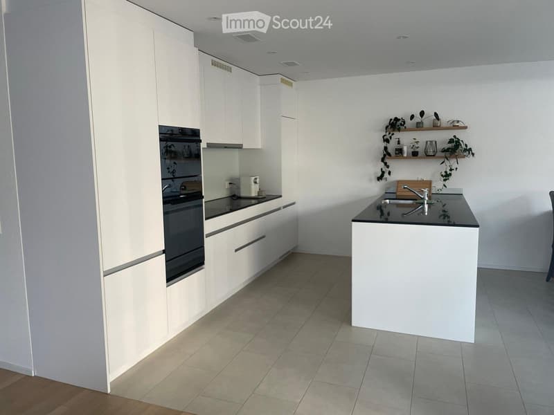 Appartement spacieux de 4,5 pièces à Mythenhof, canton de Schwyz (3)