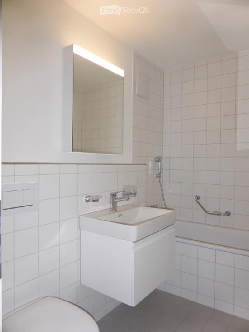 1-Zimmer Wohnung (5)