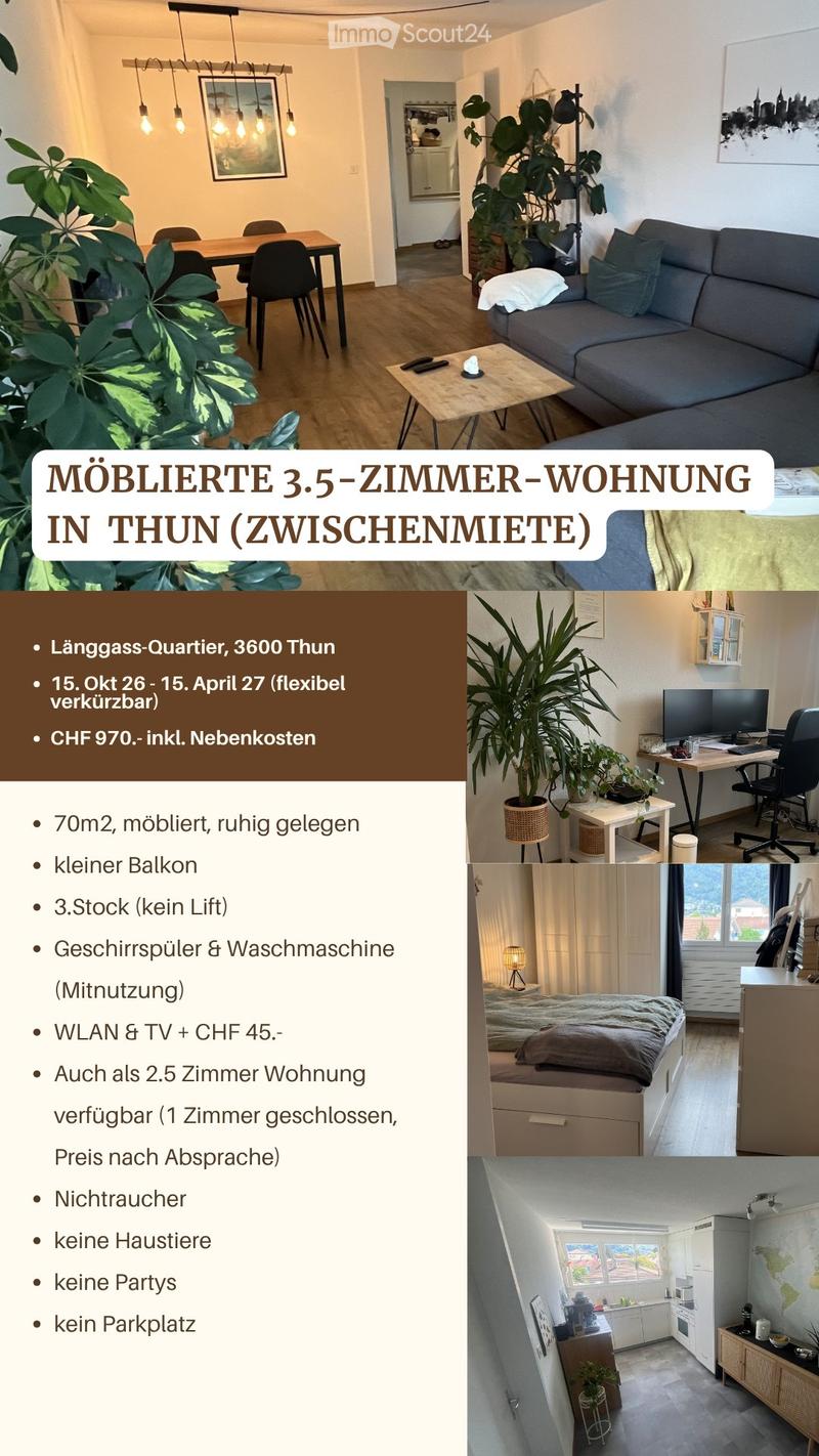 3.5 Zimmerwohnung in Thun zu vermieten (Zwischenmiete) (1)
