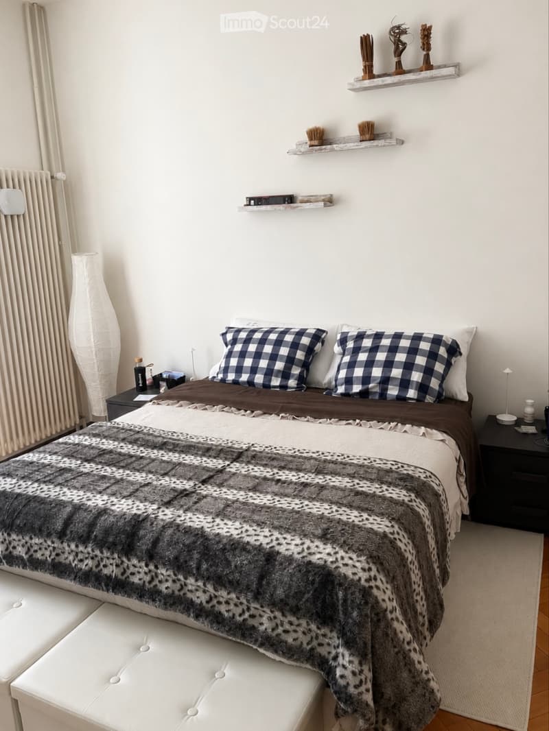 Recherche remplaçant à partir de septembre pour chambre dans appartement d'époque (1)
