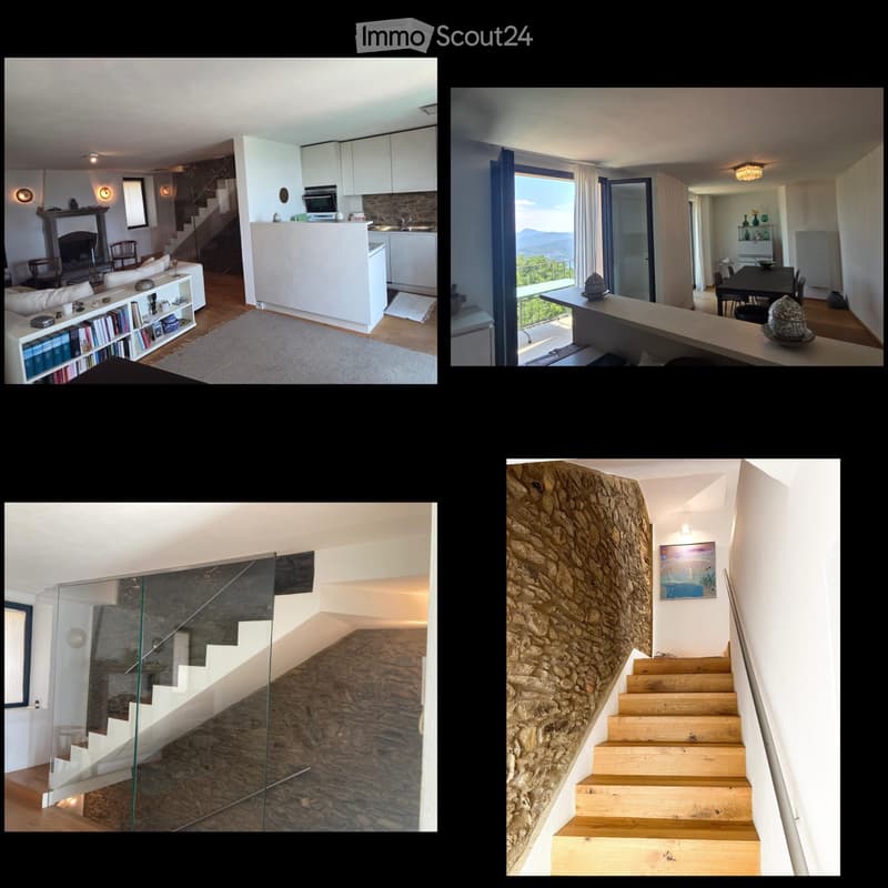 Duplex 2,5 geräumige Lokale (2)
