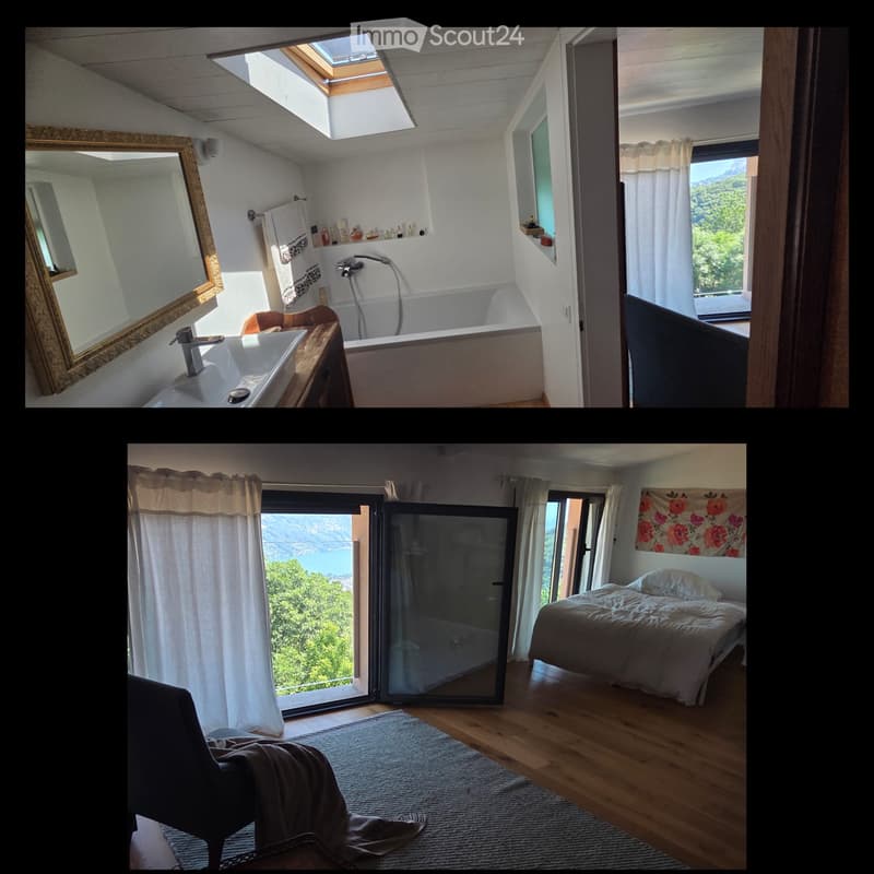 Duplex 2,5 geräumige Lokale (4)