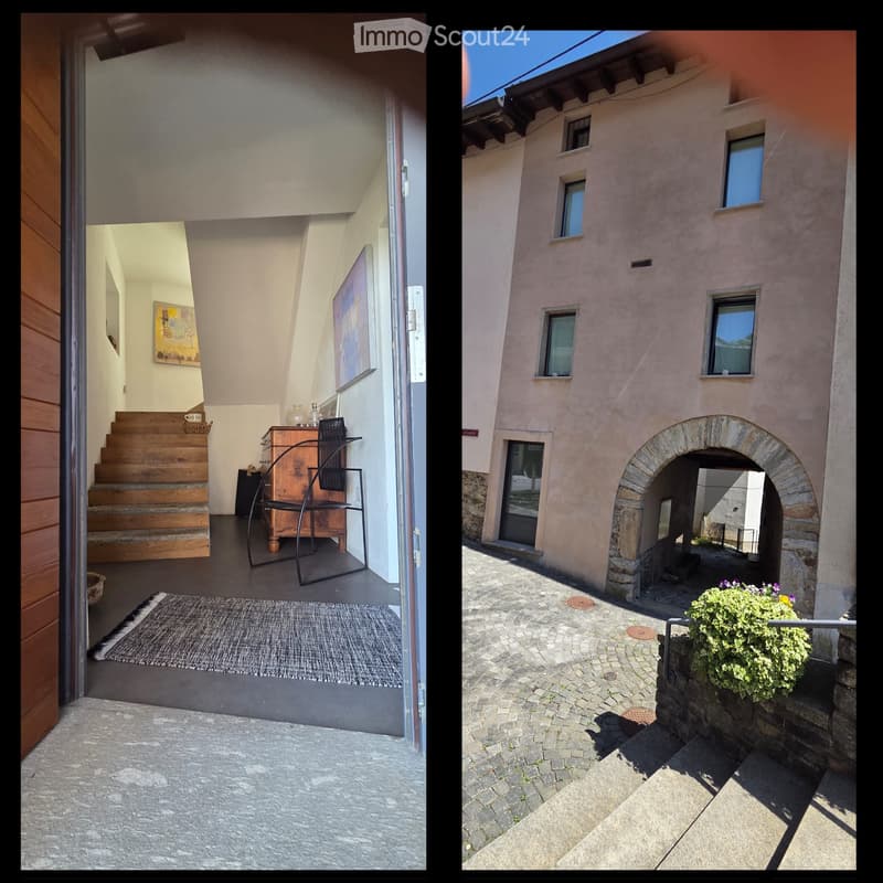 Duplex 2,5 geräumige Lokale (3)