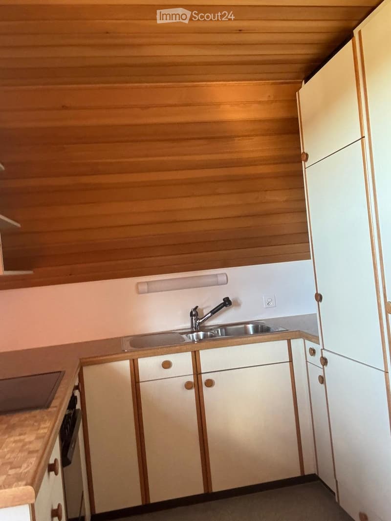 1,5 camere in affitto (3)