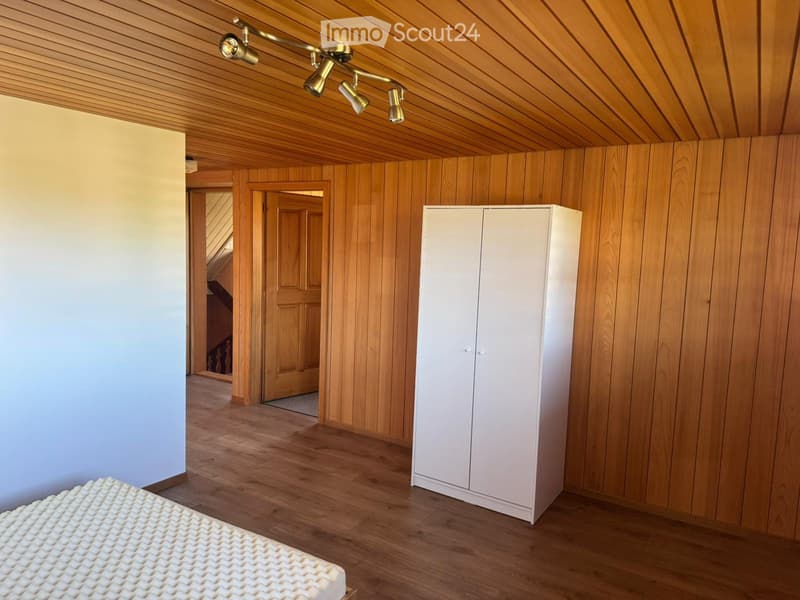 1,5 camere in affitto (2)