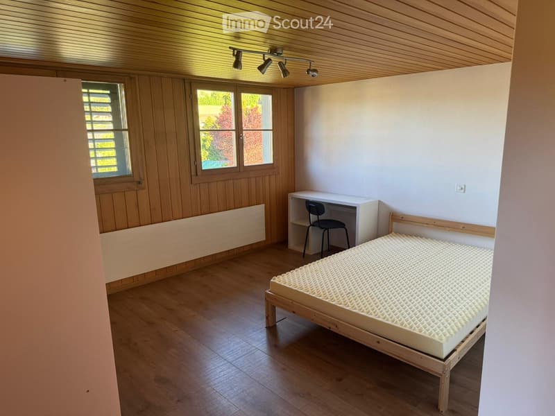 1,5 camere in affitto (1)