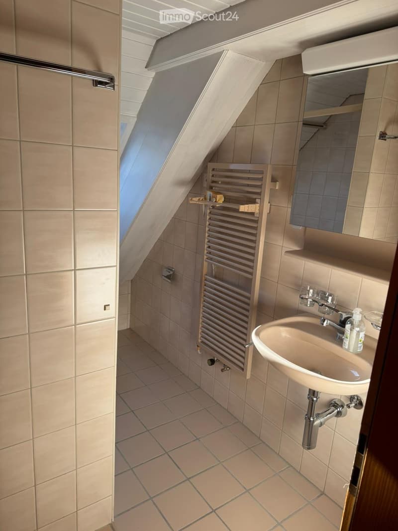 1,5 camere in affitto (4)