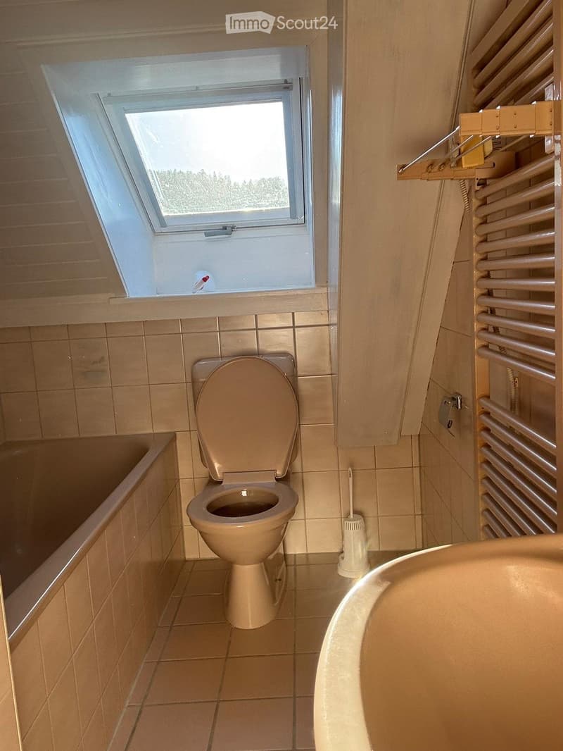 1,5 camere in affitto (5)