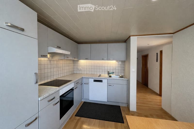 Appartamento luminoso 4.5 locali con terrazza e vista sulla montagna (2)