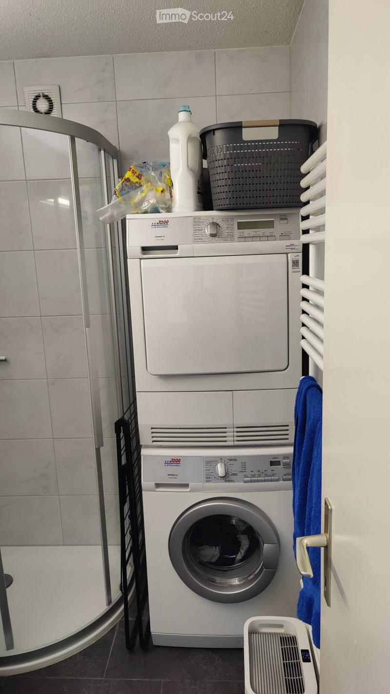 Studio Apartment in Adliswil (3)