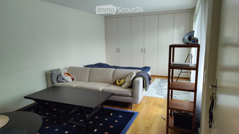 Studio Apartment in Adliswil (1)