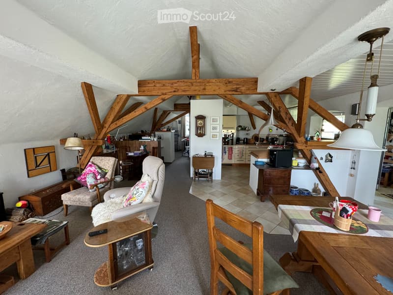 Appartement en mansarde lumineux 3 pièces avec caractère loft et vue panoramique (1)