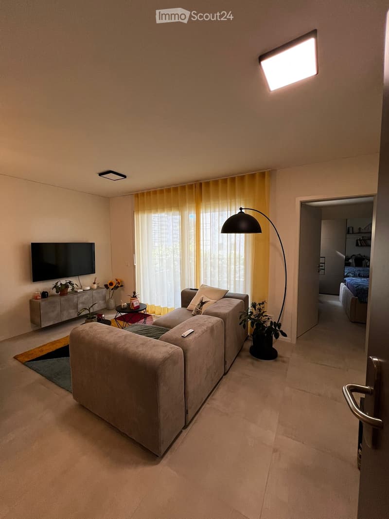 Moderno appartamento 2.5 locali a Massagno con terrazza (2)
