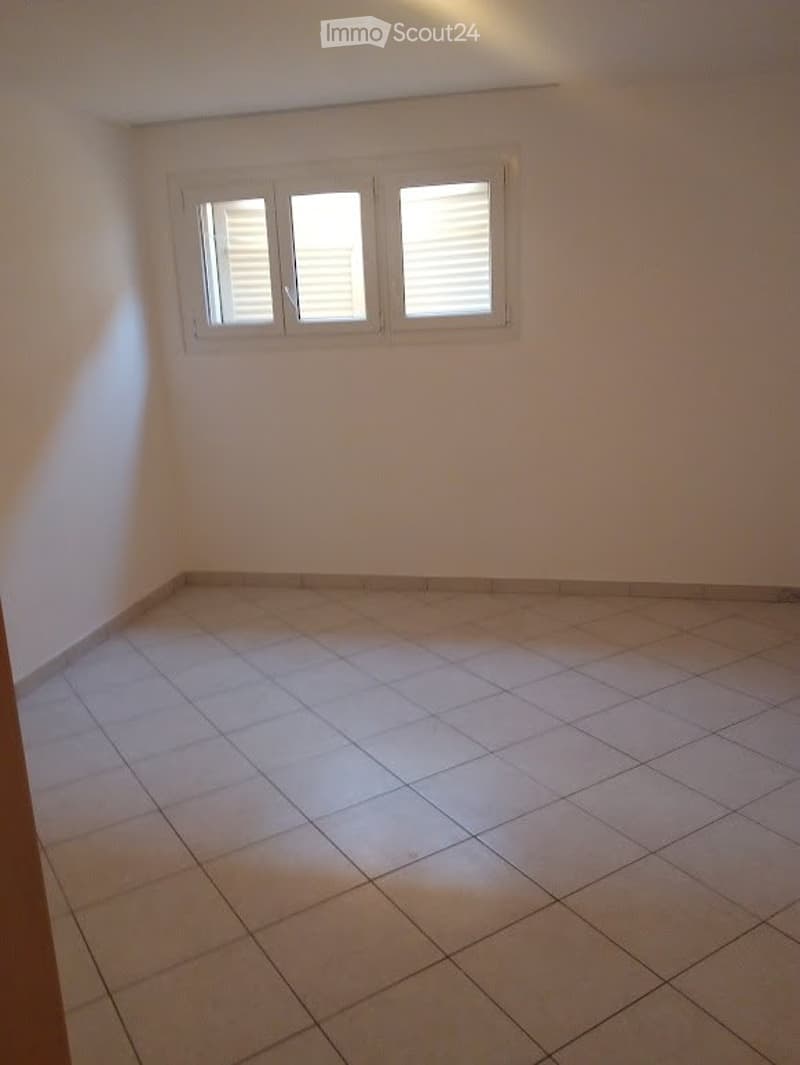 affittasi appartamento di 1.5 locali (4)