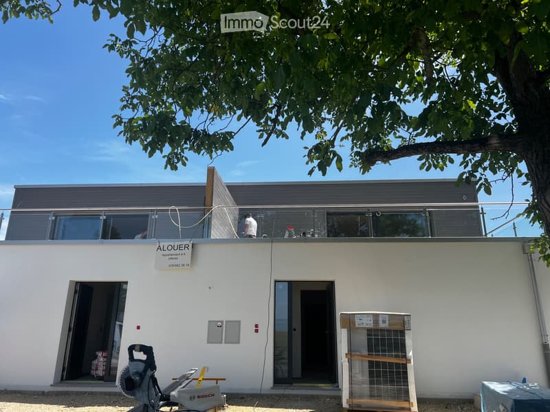 Appartamento duplex di alta qualità in affitto, più di un appartamento (2)