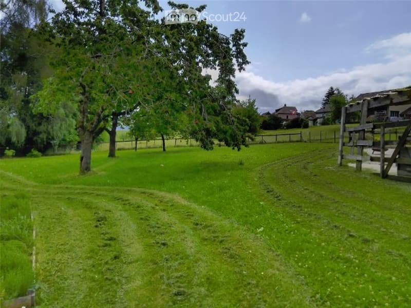 Farmhouse, horse stable, barn with 4000m2 land (4)