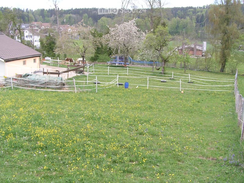 Farmhouse, horse stable, barn with 4000m2 land (3)