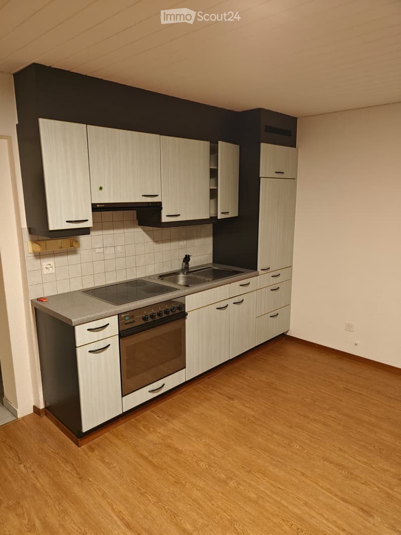 Günstiges Studio in Triengen zentral gelegen (4)