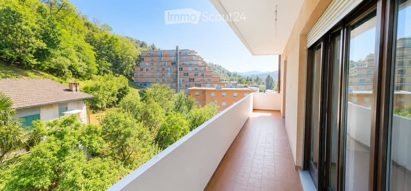 [Cercasi subentrante] Spazioso 4.5 locali a Cadempino (5)