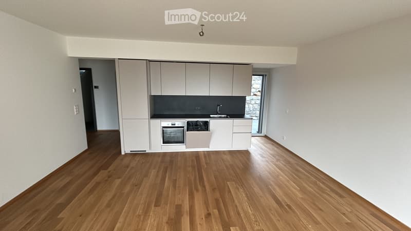 Erstbezug-Wohnung mit Seeblick in Massagno (2)