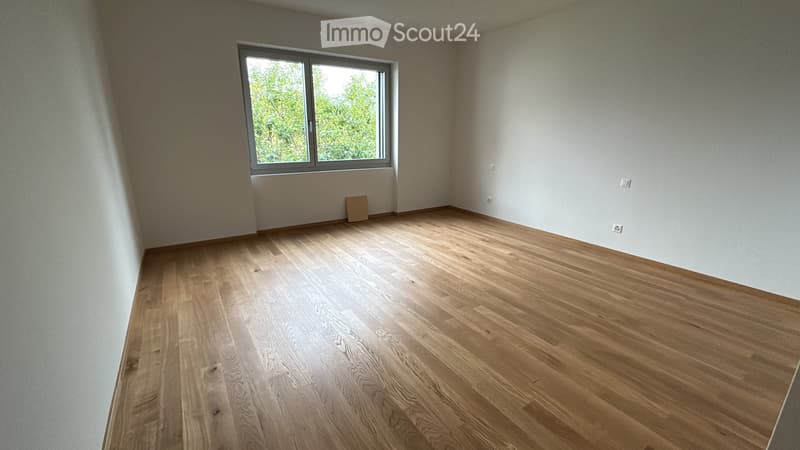 Erstbezug-Wohnung mit Seeblick in Massagno (5)