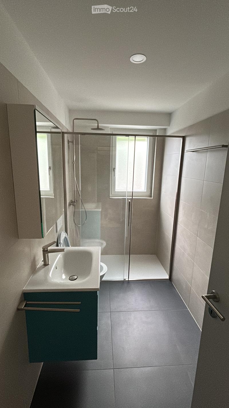 Erstbezug-Wohnung mit Seeblick in Massagno (4)