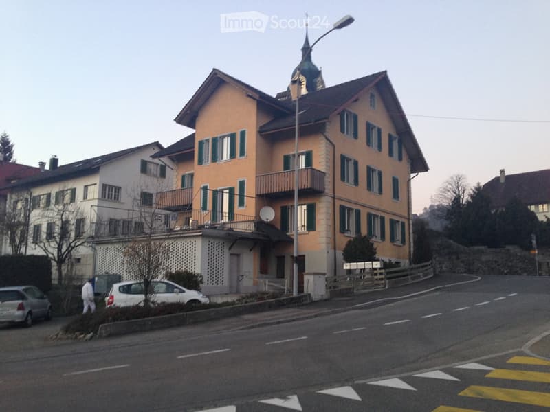Grosse 5.5 Zimmer Wohnung in Triengen viel Platz! (1)