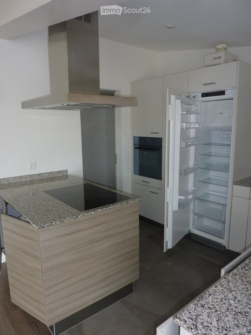 Appartamento con possibilità di manutenzione della casa (4)