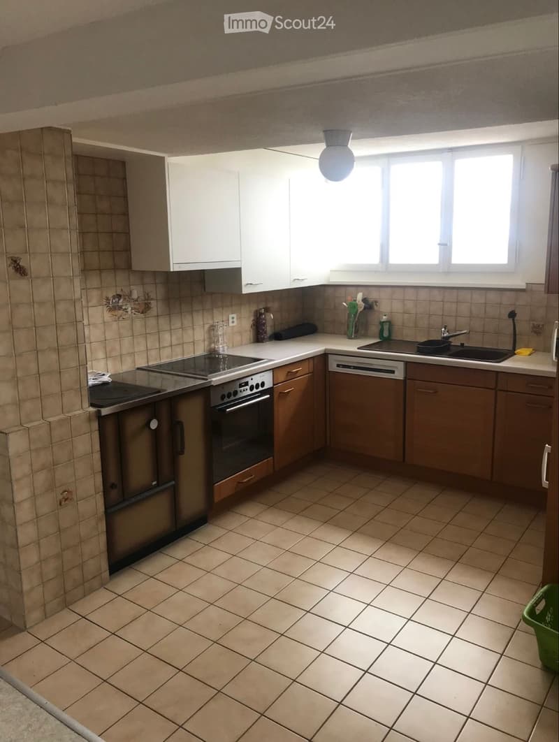Appartement 4,5 pièces à louer (3)