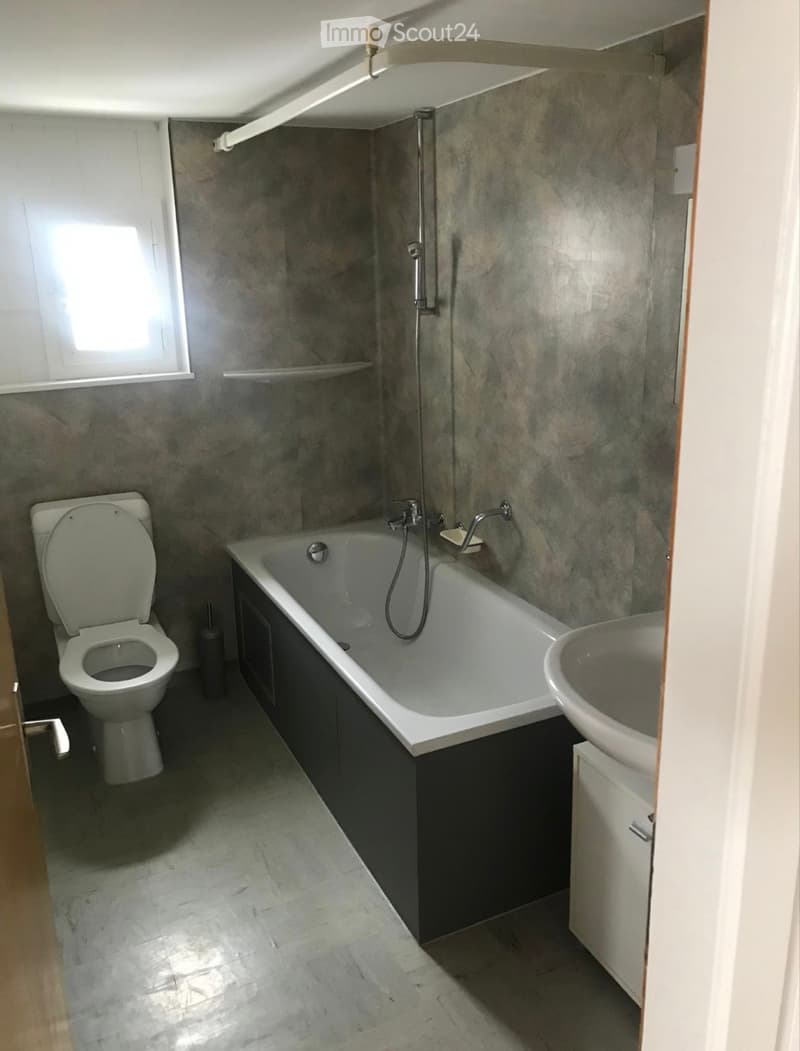 Appartement 4,5 pièces à louer (2)