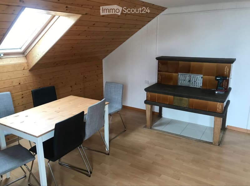 Appartement 4,5 pièces à louer (1)