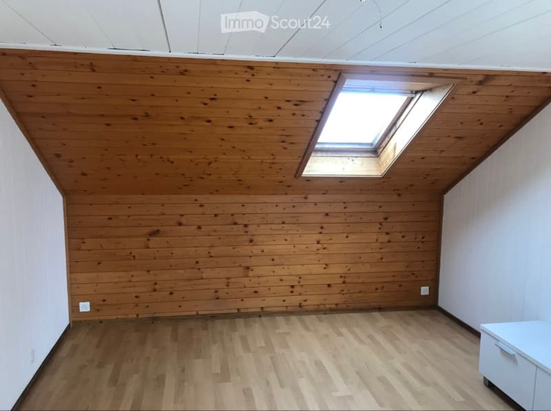 Appartement 4,5 pièces à louer (4)